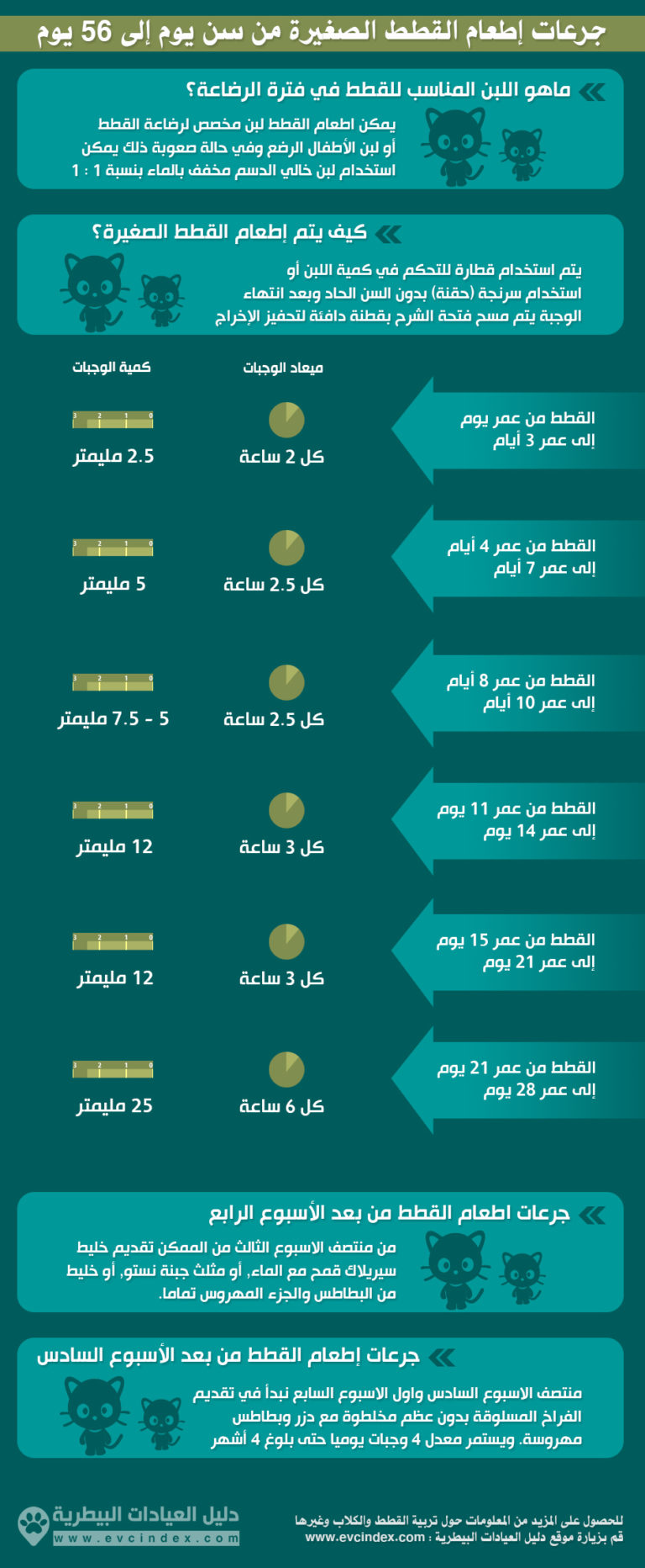 دفتر تطعيم القطط