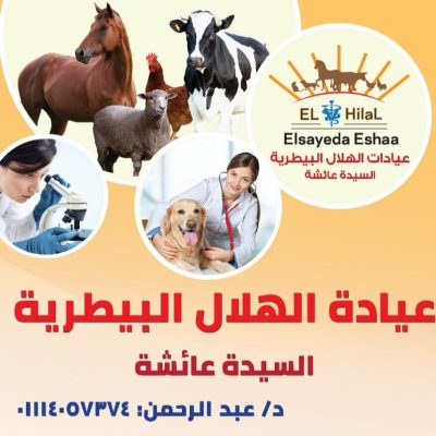 عيادات الهلال البيطرية بالسيدة عائشة