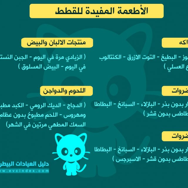 الأطعمة المفيدة للقطط