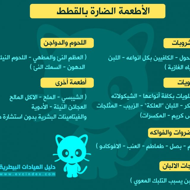 الأطعمة الضارة بالقطط