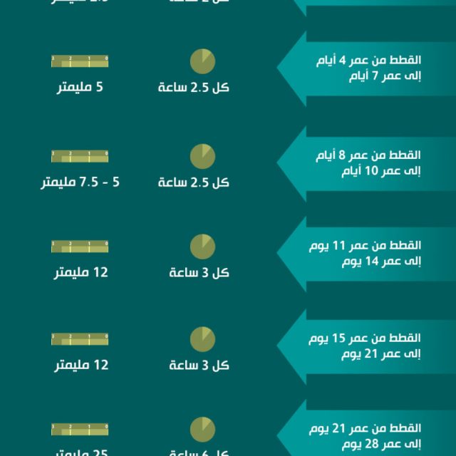 جدول طعام القطط الرضيعة (انفوجراف)